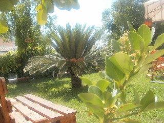 Palm Grove Complex Hotel